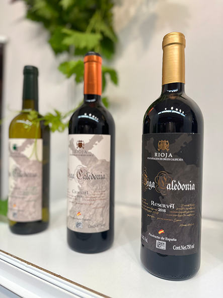 Vega Caledonia Blanco Viura D.O.C.Rioja