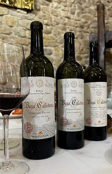 Vega Caledonia Colección Privada D.O.C.Rioja