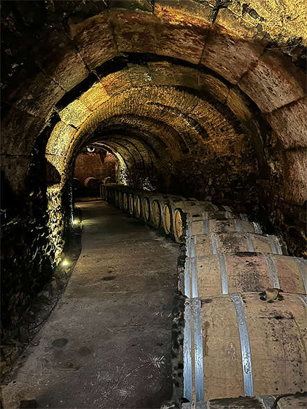 Vega Caledonia Colección Privada D.O.C.Rioja