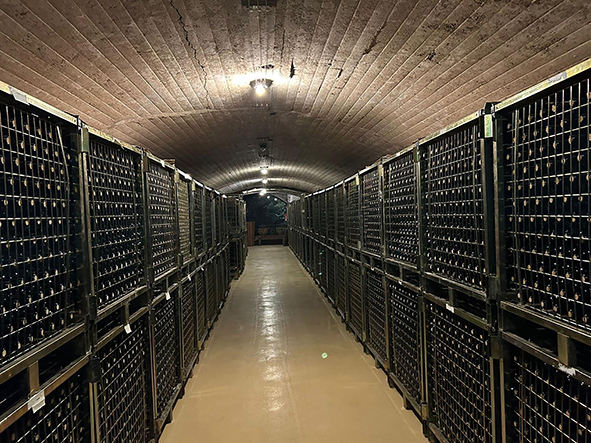 Adamantia Old Vines D.O.Toro